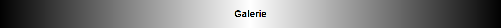 Galerie